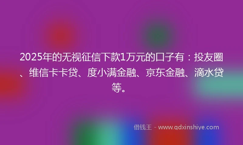 2025年的无视征信下款1万元的口子有：投友圈、维信卡卡贷、度小满金融、京东金融、滴水贷等。