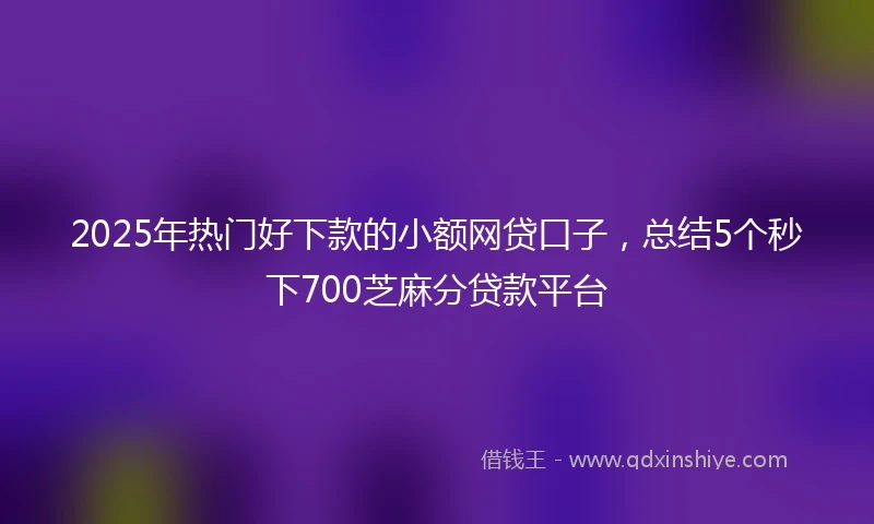 2025年热门好下款的小额网贷口子，总结5个秒下700芝麻分贷款平台