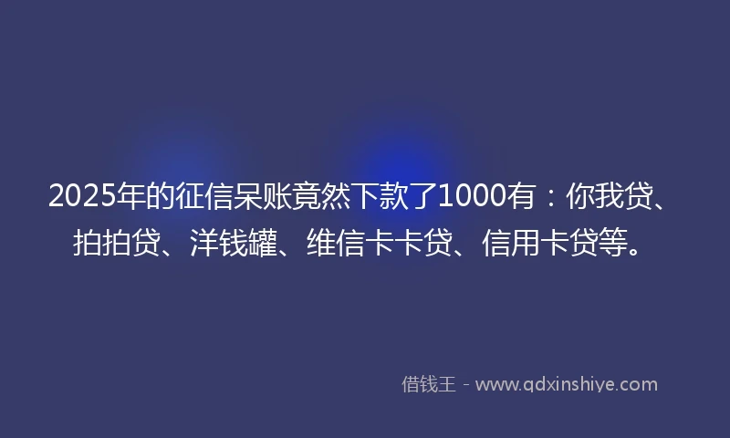 2025年的征信呆账竟然下款了1000有：你我贷、拍拍贷、洋钱罐、维信卡卡贷、信用卡贷等。