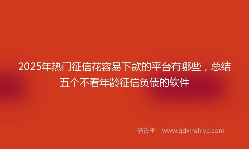 2025年热门征信花容易下款的平台有哪些，总结五个不看年龄征信负债的软件