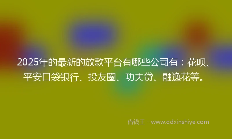 2025年的最新的放款平台有哪些公司有：花呗、平安口袋银行、投友圈、功夫贷、融逸花等。