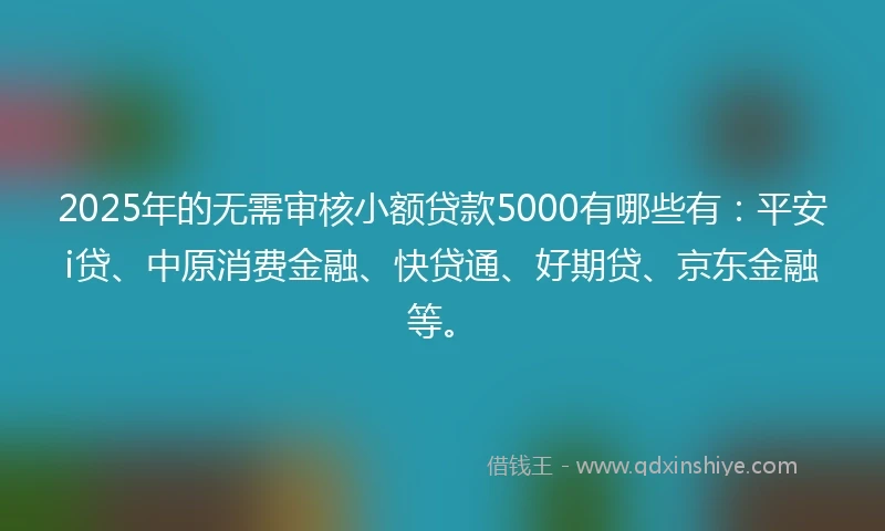 2025年的无需审核小额贷款5000有哪些有：平安i贷、中原消费金融、快贷通、好期贷、京东金融等。