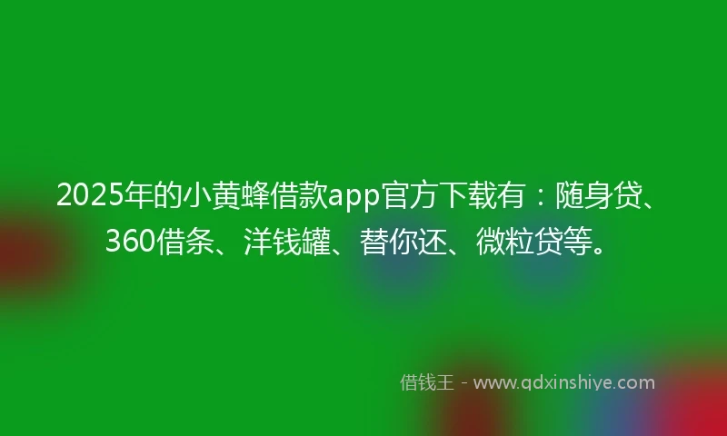 2025年的小黄蜂借款app官方下载有：随身贷、360借条、洋钱罐、替你还、微粒贷等。