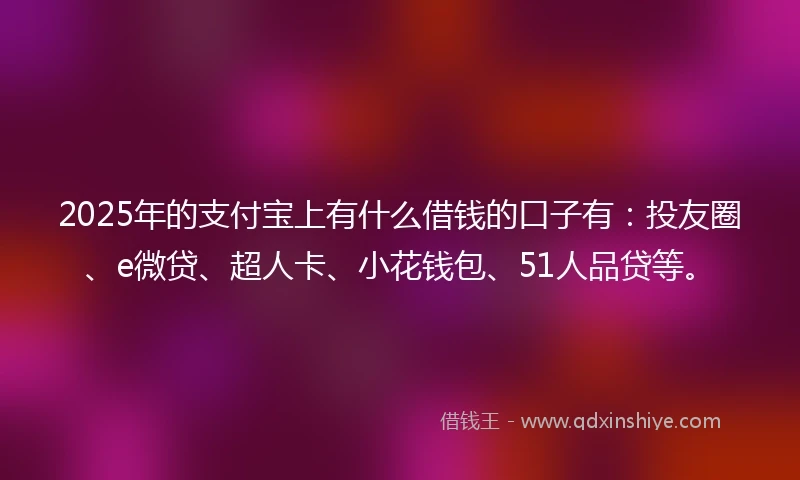 2025年的支付宝上有什么借钱的口子有：投友圈、e微贷、超人卡、小花钱包、51人品贷等。