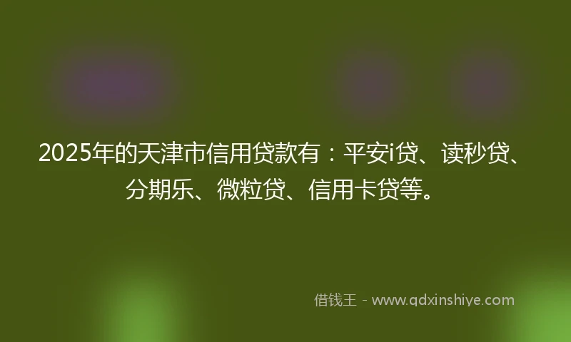 2025年的天津市信用贷款有：平安i贷、读秒贷、分期乐、微粒贷、信用卡贷等。