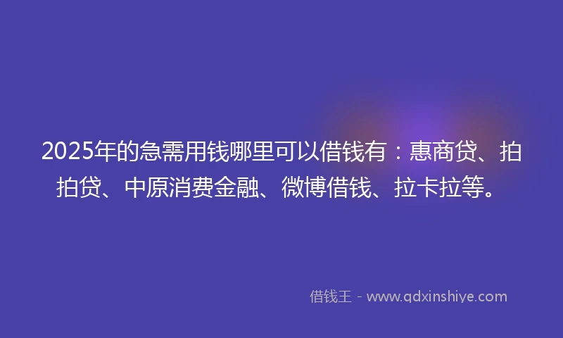 2025年的急需用钱哪里可以借钱有：惠商贷、拍拍贷、中原消费金融、微博借钱、拉卡拉等。