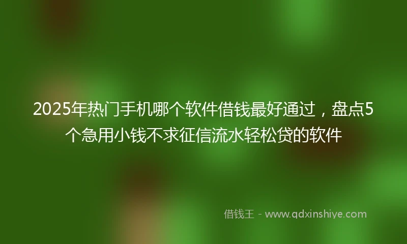 2025年热门手机哪个软件借钱最好通过，盘点5个急用小钱不求征信流水轻松贷的软件