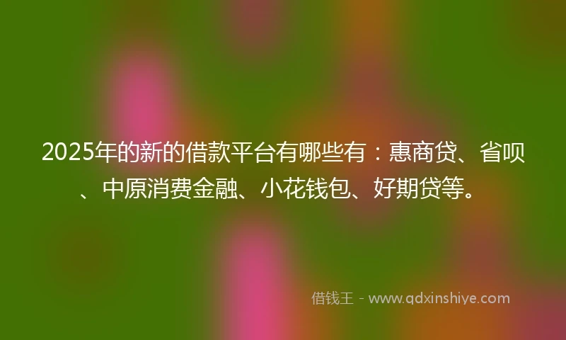 2025年的新的借款平台有哪些有：惠商贷、省呗、中原消费金融、小花钱包、好期贷等。