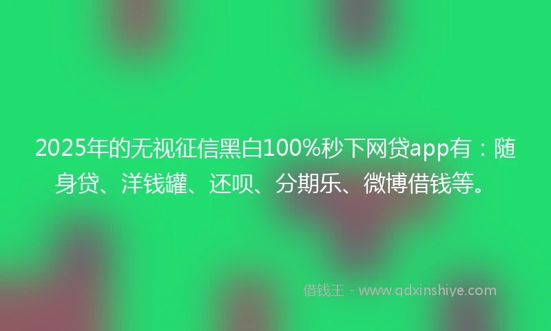 2025年的无视征信黑白100%秒下网贷app有：随身贷、洋钱罐、还呗、分期乐、微博借钱等。