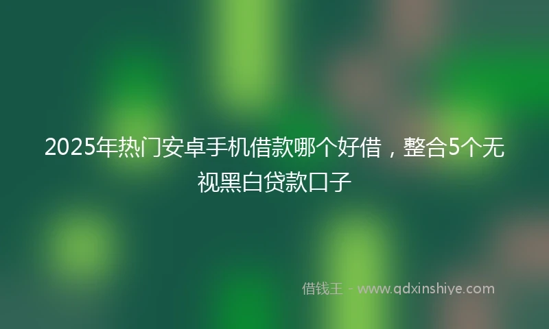 2025年热门安卓手机借款哪个好借，整合5个无视黑白贷款口子