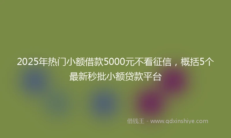 2025年热门小额借款5000元不看征信，概括5个最新秒批小额贷款平台
