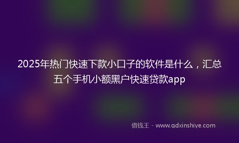 2025年热门快速下款小口子的软件是什么，汇总五个手机小额黑户快速贷款app