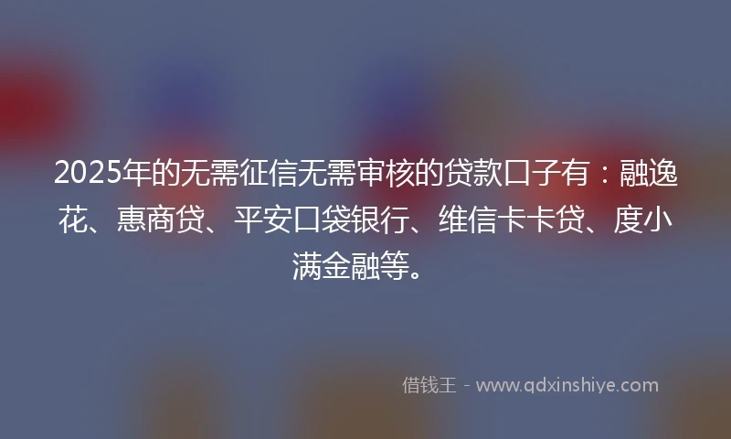 2025年的无需征信无需审核的贷款口子有：融逸花、惠商贷、平安口袋银行、维信卡卡贷、度小满金融等。