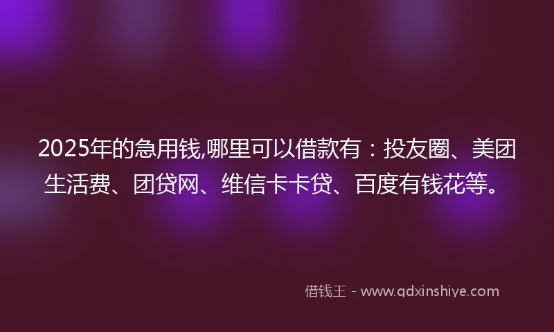 2025年的急用钱,哪里可以借款有：投友圈、美团生活费、团贷网、维信卡卡贷、百度有钱花等。