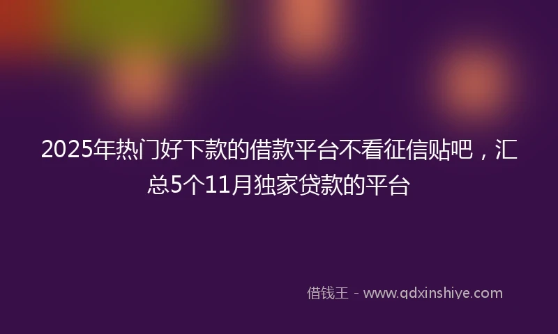 2025年热门好下款的借款平台不看征信贴吧，汇总5个11月独家贷款的平台