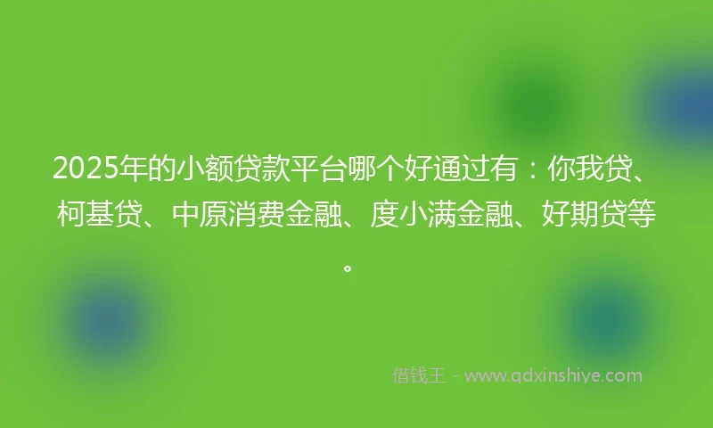 2025年的小额贷款平台哪个好通过有：你我贷、柯基贷、中原消费金融、度小满金融、好期贷等。