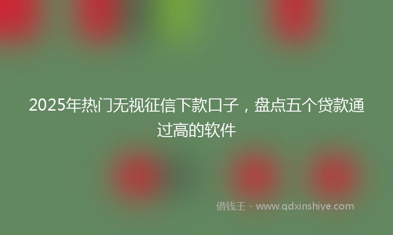 2025年热门无视征信下款口子，盘点五个贷款通过高的软件