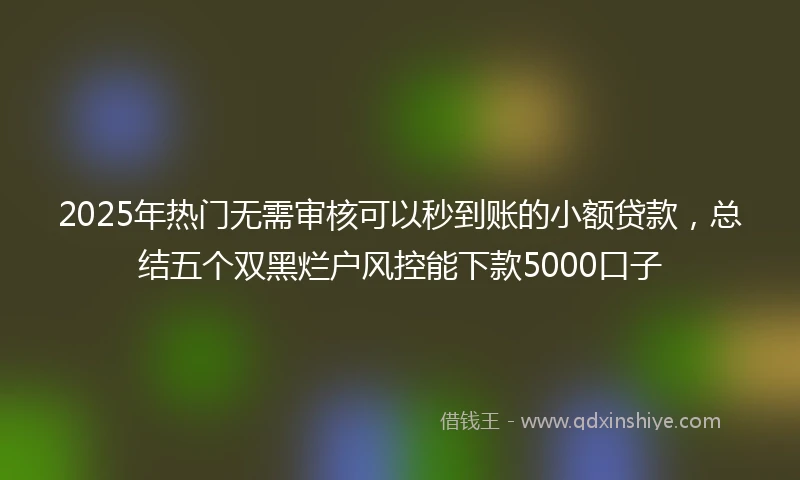 2025年热门无需审核可以秒到账的小额贷款，总结五个双黑烂户风控能下款5000口子