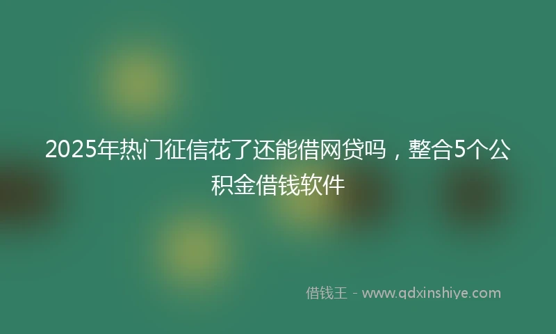 2025年热门征信花了还能借网贷吗，整合5个公积金借钱软件