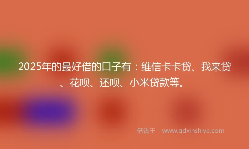 2025年的最好借的口子有：维信卡卡贷、我来贷、花呗、还呗、小米贷款等。