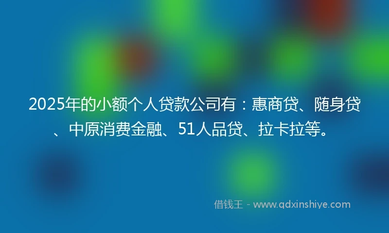 2025年的小额个人贷款公司有：惠商贷、随身贷、中原消费金融、51人品贷、拉卡拉等。
