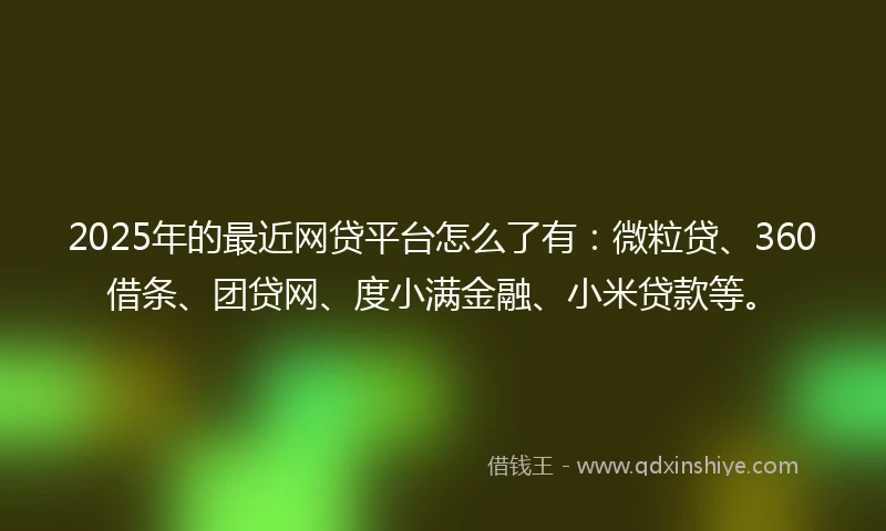 2025年的最近网贷平台怎么了有：微粒贷、360借条、团贷网、度小满金融、小米贷款等。