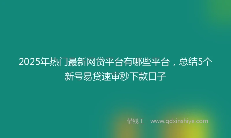 2025年热门最新网贷平台有哪些平台，总结5个新号易贷速审秒下款口子