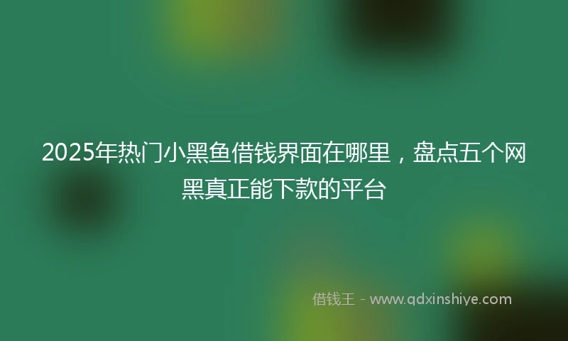 2025年热门小黑鱼借钱界面在哪里，盘点五个网黑真正能下款的平台