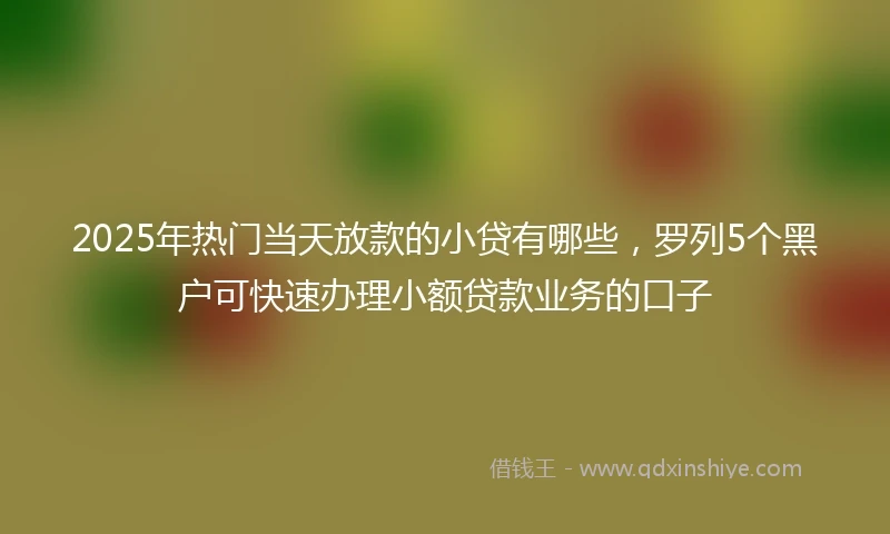 2025年热门当天放款的小贷有哪些，罗列5个黑户可快速办理小额贷款业务的口子