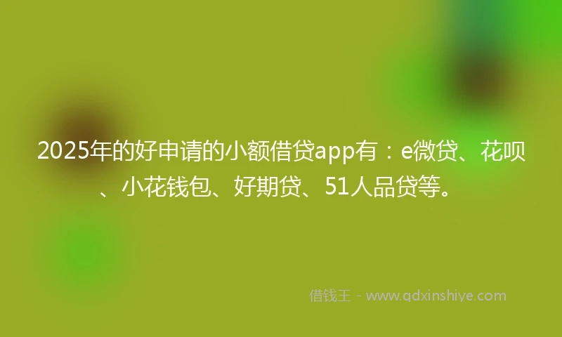 2025年的好申请的小额借贷app有：e微贷、花呗、小花钱包、好期贷、51人品贷等。