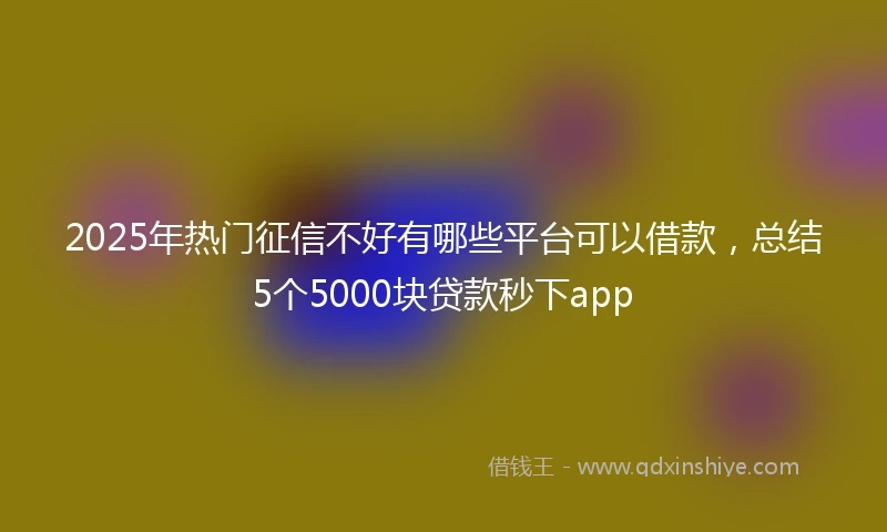 2025年热门征信不好有哪些平台可以借款，总结5个5000块贷款秒下app