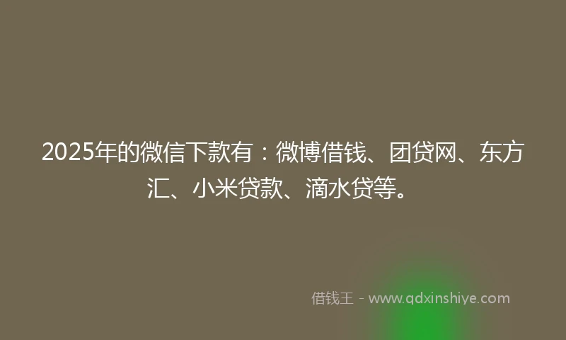 2025年的微信下款有：微博借钱、团贷网、东方汇、小米贷款、滴水贷等。