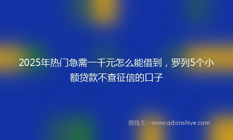 2025年热门急需一千元怎么能借到，罗列5个小额贷款不查征信的口子