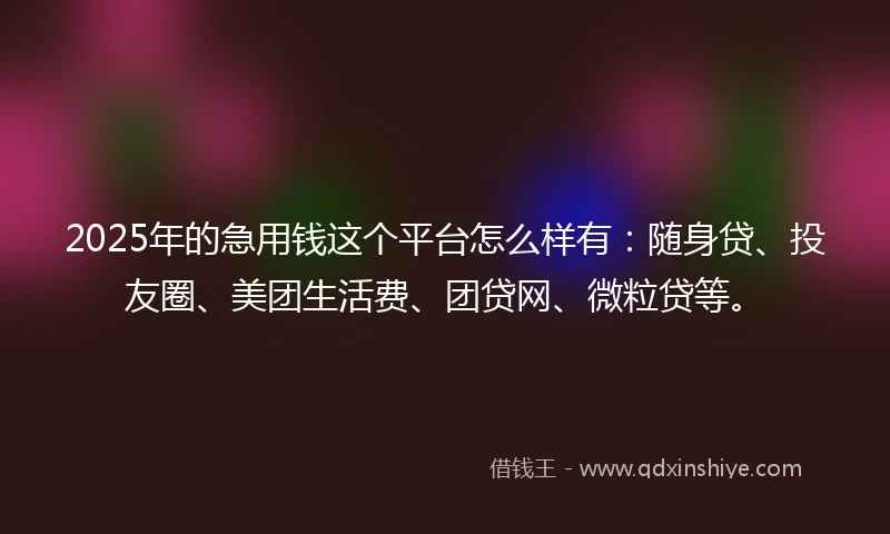 2025年的急用钱这个平台怎么样有：随身贷、投友圈、美团生活费、团贷网、微粒贷等。