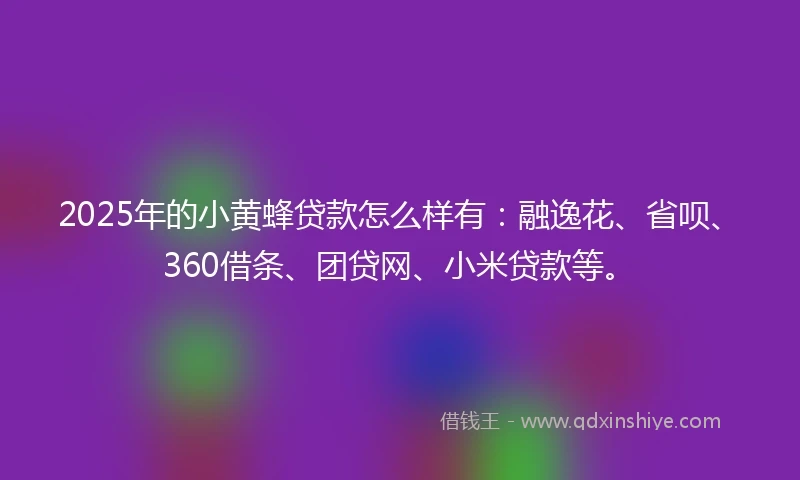 2025年的小黄蜂贷款怎么样有：融逸花、省呗、360借条、团贷网、小米贷款等。