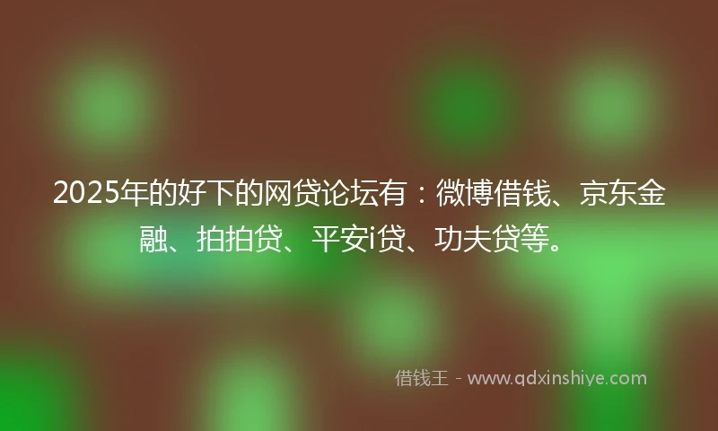 2025年的好下的网贷论坛有：微博借钱、京东金融、拍拍贷、平安i贷、功夫贷等。
