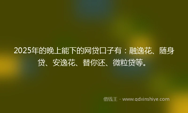 2025年的晚上能下的网贷口子有：融逸花、随身贷、安逸花、替你还、微粒贷等。