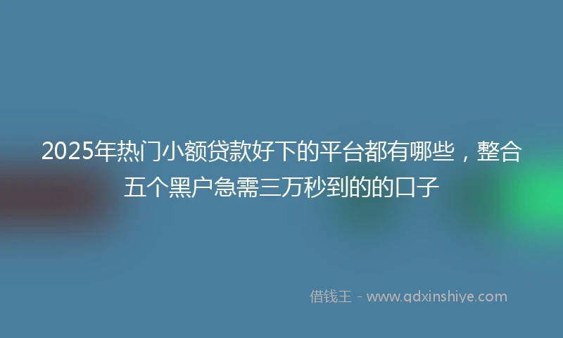 2025年热门小额贷款好下的平台都有哪些，整合五个黑户急需三万秒到的的口子