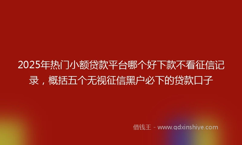 2025年热门小额贷款平台哪个好下款不看征信记录，概括五个无视征信黑户必下的贷款口子