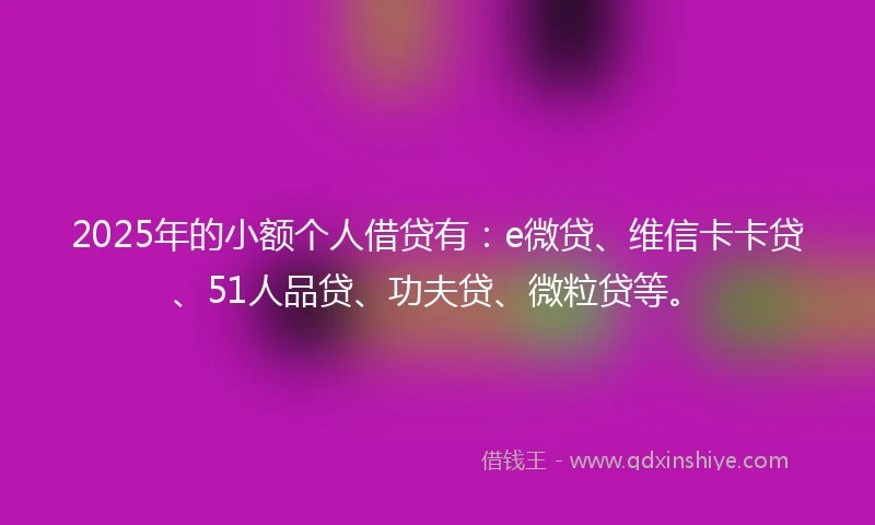 2025年的小额个人借贷有：e微贷、维信卡卡贷、51人品贷、功夫贷、微粒贷等。