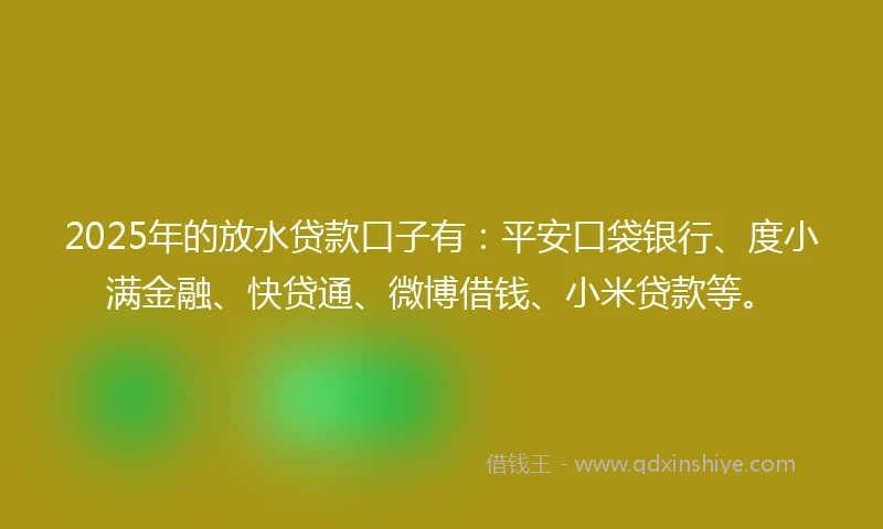 2025年的放水贷款口子有：平安口袋银行、度小满金融、快贷通、微博借钱、小米贷款等。