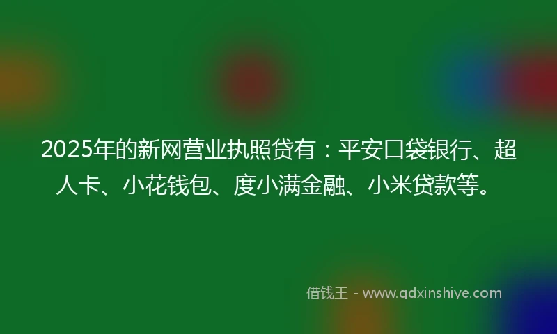 2025年的新网营业执照贷有：平安口袋银行、超人卡、小花钱包、度小满金融、小米贷款等。