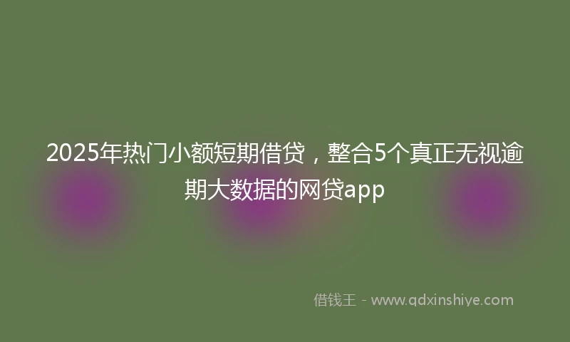 2025年热门小额短期借贷，整合5个真正无视逾期大数据的网贷app