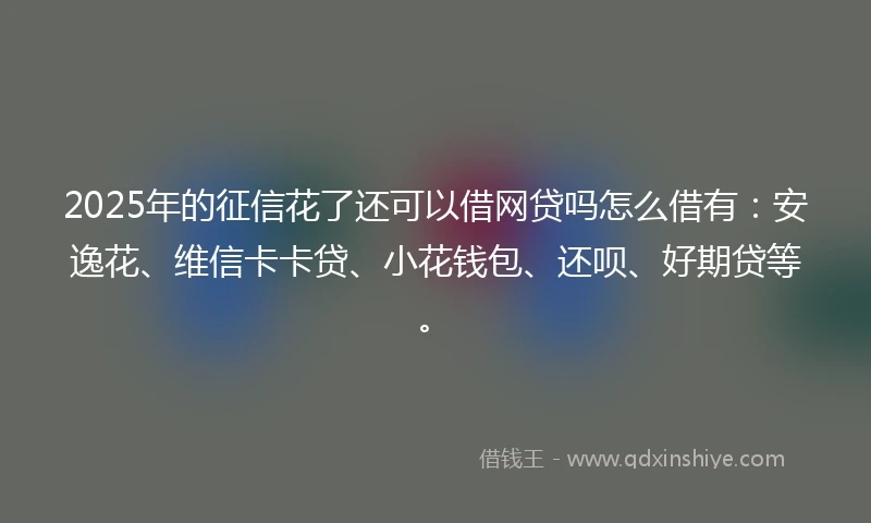 2025年的征信花了还可以借网贷吗怎么借有：安逸花、维信卡卡贷、小花钱包、还呗、好期贷等。