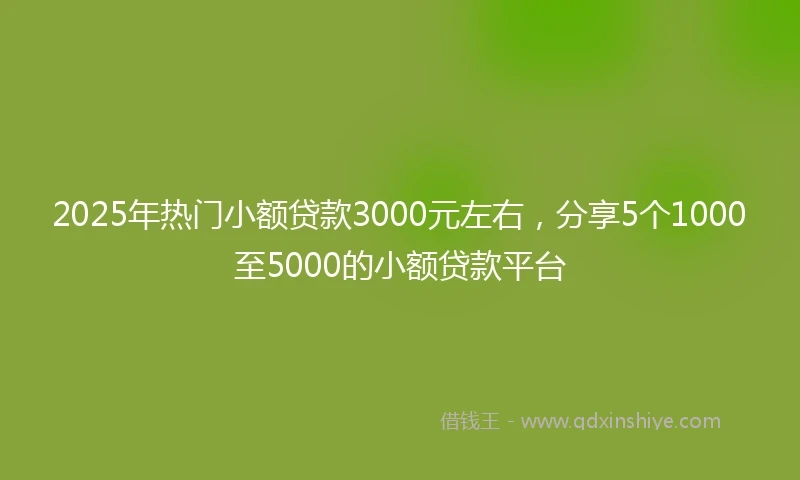 2025年热门小额贷款3000元左右，分享5个1000至5000的小额贷款平台