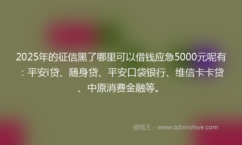 2025年的征信黑了哪里可以借钱应急5000元呢有：平安i贷、随身贷、平安口袋银行、维信卡卡贷、中原消费金融等。