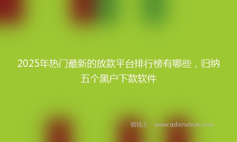 2025年热门最新的放款平台排行榜有哪些，归纳五个黑户下款软件