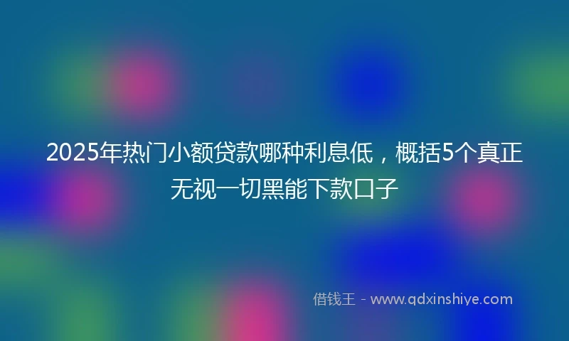2025年热门小额贷款哪种利息低，概括5个真正无视一切黑能下款口子