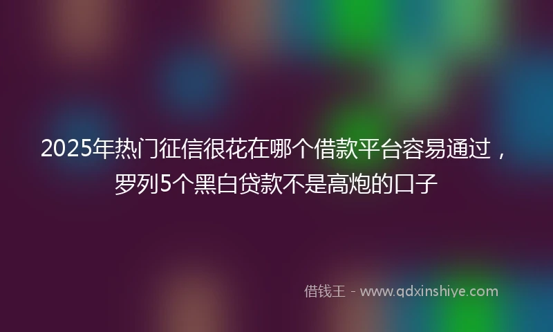 2025年热门征信很花在哪个借款平台容易通过,罗列5个黑白贷款不是高炮的口子
