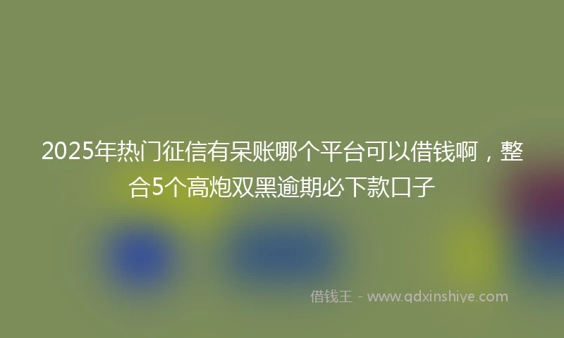 2025年热门征信有呆账哪个平台可以借钱啊，整合5个高炮双黑逾期必下款口子